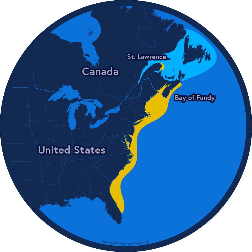 Map of the East Coast of Canada and the United States. A yellow-shaded area runs along the coast from Florida to the Bay of Fundy. Another yellow area is found at the tip of the Gaspé Peninsula. A blue zone surrounds the island of Newfoundland and the remainder of the St. Lawrence.