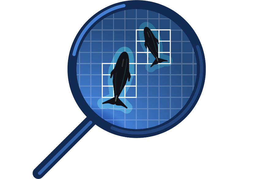 Image of whales under a magnifying glass.