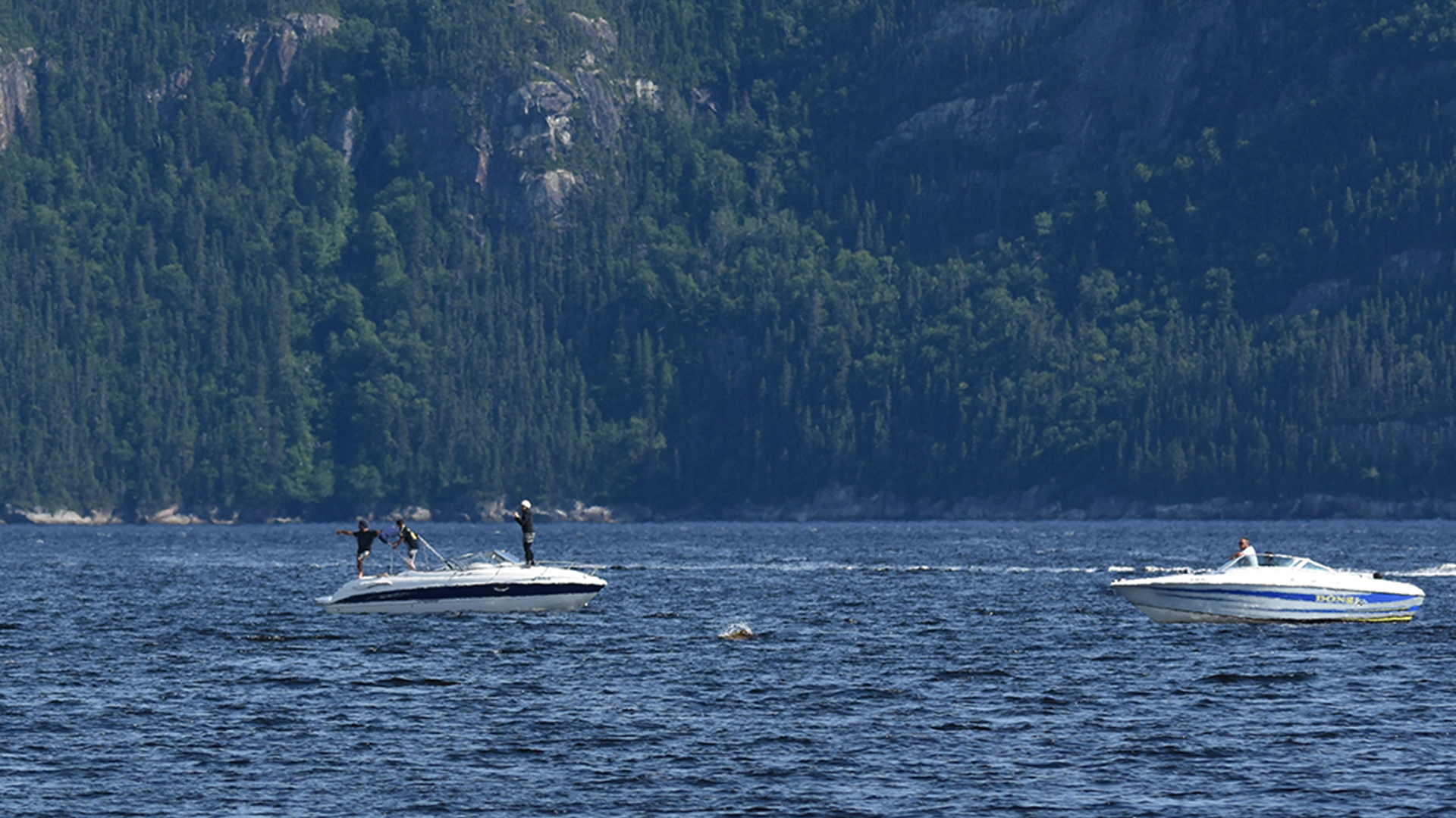 Deux bateaux de plaisance naviguants dans le fiord du Saguenay