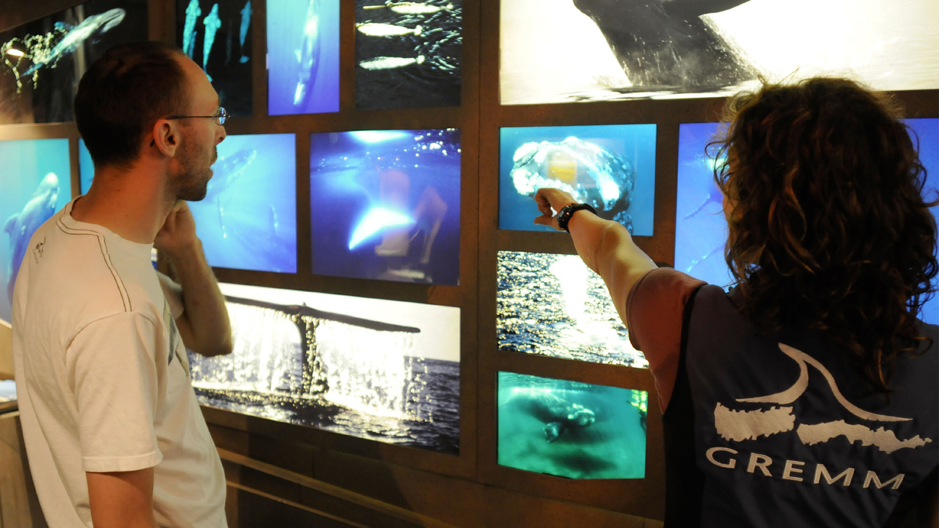 Une femme (portant une veste identifiée GREMM) pointe un élément sur un mur montrant plusieurs photos de baleines pendant qu’un homme regarde ce qu’elle pointe.