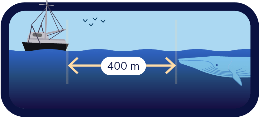 Schéma montrant un bateau et un rorqual bleu avec une distance de 400 m qui les séparent.